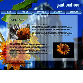 Giant Sunflower