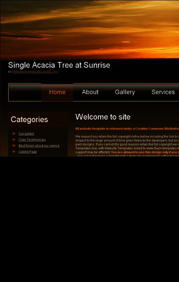 Single Acacia Tree at Sunrise