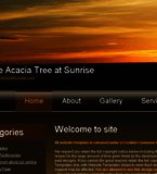 Single Acacia Tree at Sunrise Single Acacia Tree at Sunrise