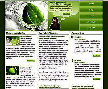 metamorph_lime