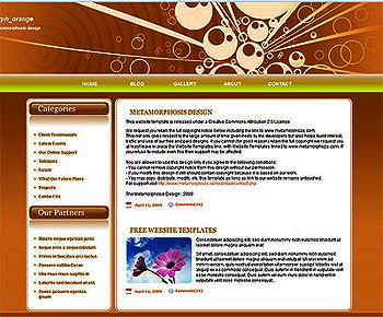 metamorph_orange
