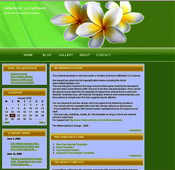 metamorph_springflowers